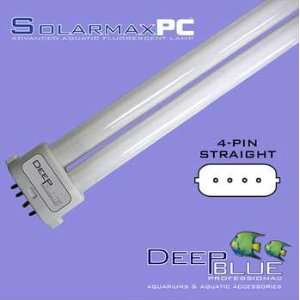  24w Power Compact 10000k Daylight (4   pin Str) 