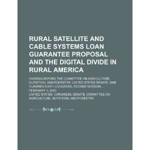  satellite and cable systems loan guarantee proposal and the digital 