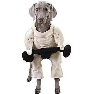  Muscle Bound Hound   Small Pet Costume: Toys & Games