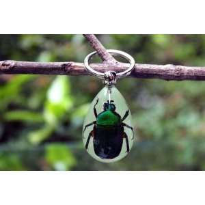  Real Amber Insect Keychain Jewelry Green Beetle (Glow in 