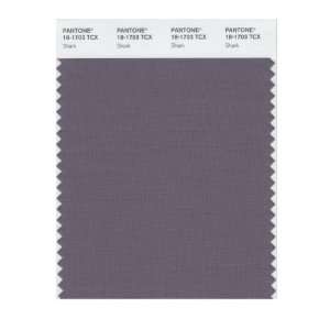  PANTONE SMART 18 1703X Color Swatch Card, Shark