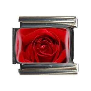 Red Rose Closeup Charm 