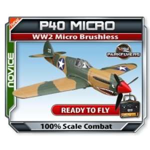  Parkflyers P40 RTF WW2 Micro Brushless Electric RC 