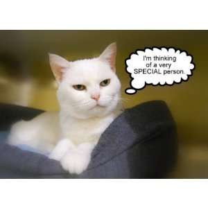  Sister White Cat Birthday Humor Card: Health & Personal 