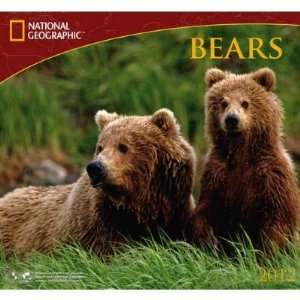   Bears National Geographic with Map 2012 Wall Calendar
