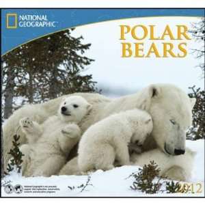  Bears National Geographic with Map 2012 Wall Calendar: Office Products