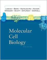 Molecular Cell Biology, (0716743663), Harvey Lodish, Textbooks 