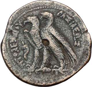  VI Egypt King 170BC Ancient Greek Coin Ragles Eagles ZEUS Rare Wealth