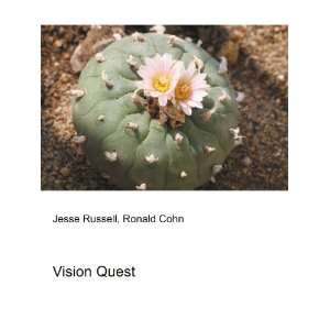 Vision Quest [Paperback]