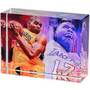   Los Angeles Lakers Andrew Bynum Action Image Block: Sports & Outdoors