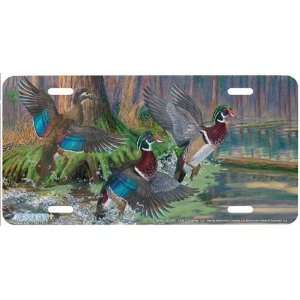 5406 Splash of Color Wood Duck License Plate Car Auto Novelty Front 