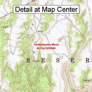  USGS Topographic Quadrangle Map   Toadindaaska Mesa 