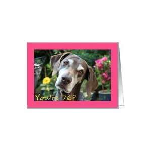  76th Birthday card, German Shorthaired Pointer Card Toys 