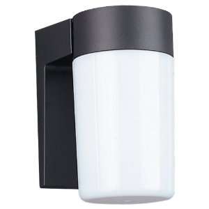 Sea Gull Lighting 8301 12 Single Light Outdoor Wall Lantern with White 