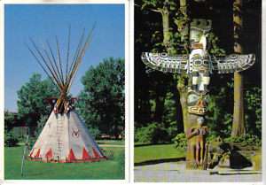 Lot Native Indian Buffalo Tipi & Totem Pole Postcards  