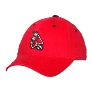  Ball State Cardinals Child One Fit Hat: Sports & Outdoors