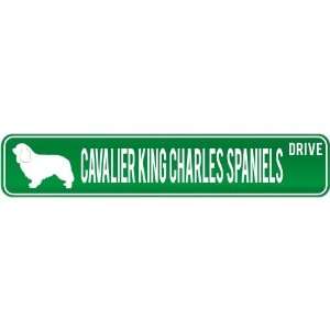   Cavalier King Charles Spaniels Drive  Street Sign Dog