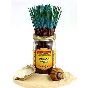  Wildberry Incense Sticks: Ocean Wind: Beauty