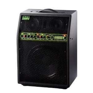  Trace Acoustic Amp Ta 300 120v (dom): Musical Instruments