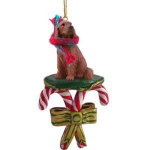   Irish Setter Dog Candy Cane Christmas Holiday Ornament: Home & Kitchen