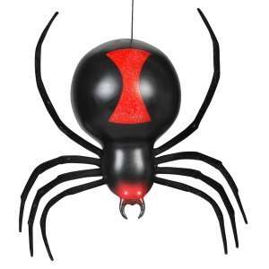  Dropping Black Widow Spider: Home & Kitchen