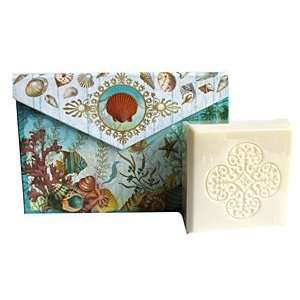  Punch Studio Green Tea Seashell Postcard Gift Box With 2 X 