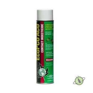   Contact Aerosol Insecticide (17 oz.) 12 cans 55555113 