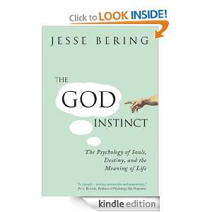   God Instinct The Psychology of Souls, Destiny and the Meaning of Life