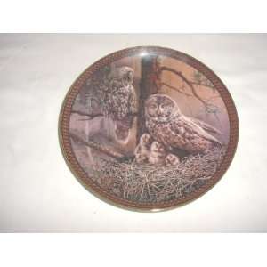  Great Gray Owl Family Plate by Bradford Exchange 