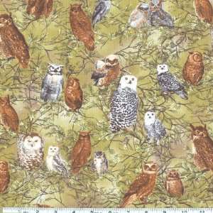   The Last Frontier Owls Green Fabric By The Yard: Arts, Crafts & Sewing