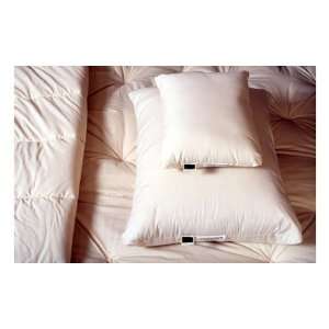  Pillows Waverly Firm Standard Pillow Set