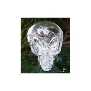  Top Clear 2.6 Quartz Rock Crystal Alien Skull