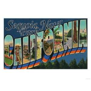 Sequoia National Park, California   Large Letter Scenes Giclee Poster 