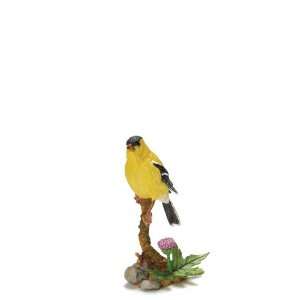  Country Artists American Bullfinch Bird