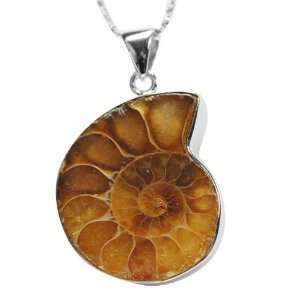   Silver Ammonite Fossil Pendant Necklaces (18 inch Chain) Jewelry