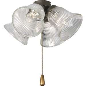   Fan Light Kit with Clear Style Glass, Antique Bronze