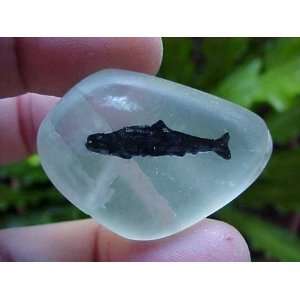   A0920 Gemqz Whale Engraved in Fluorite Flat Stone  
