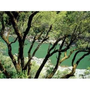  Rogue River, BLM Medford District, Siskiyou Mountains 