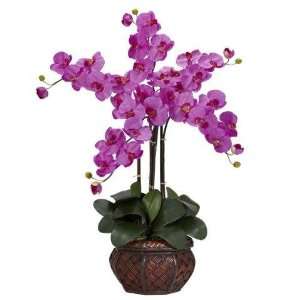 Exclusive By Nearly Natural Orchid Phalaenopsis w 