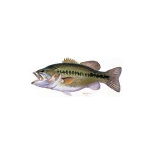  Large Mouth Bass Rear Window Decal: Automotive