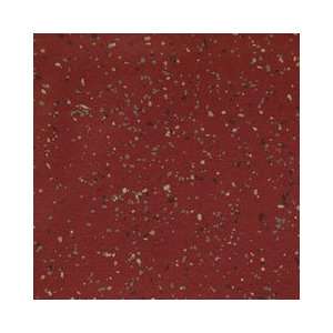  Mannington Relay Cardinal Vinyl Flooring: Home Improvement
