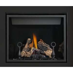     HD40 and HDX40 Direct Vent Gas Fireplaces   Black