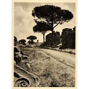  1935 Via Appia Appian Way Roman Road Italy Fritz Henle 