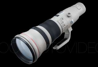 Canon EF 800mm f/5.6L IS USM Autofocus Lens   NEW 13803092738  