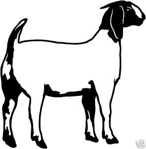 Boer Goat #7= Decals Farm Animal Window Stickers 6  