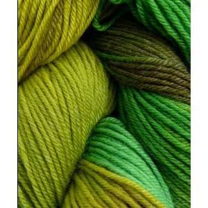  Lornas Laces Sock Yarn   Envy #207 (435 yards) Arts 