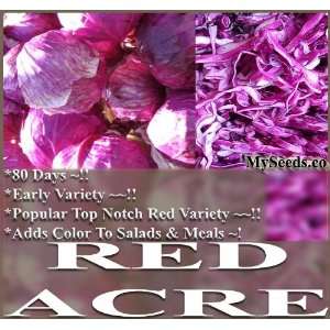 com 1 LB (100,000+) RED ACRE Cabbage seeds GARDENER FAVORITE weighing 