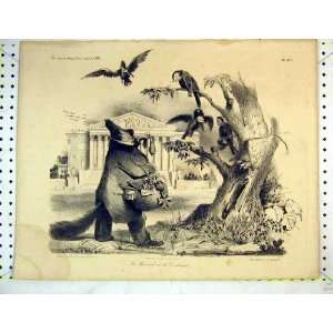  French Comedy Print Fat Man Birds Tree Building Medals 