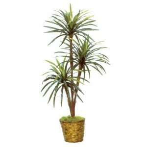  Yucca Palm Silk Artificial Tree Plant 5.5 Everything 