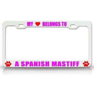 MY HEART BELONGS TO A SPANISH MASTIFF Dog Pet Steel Metal Auto License 